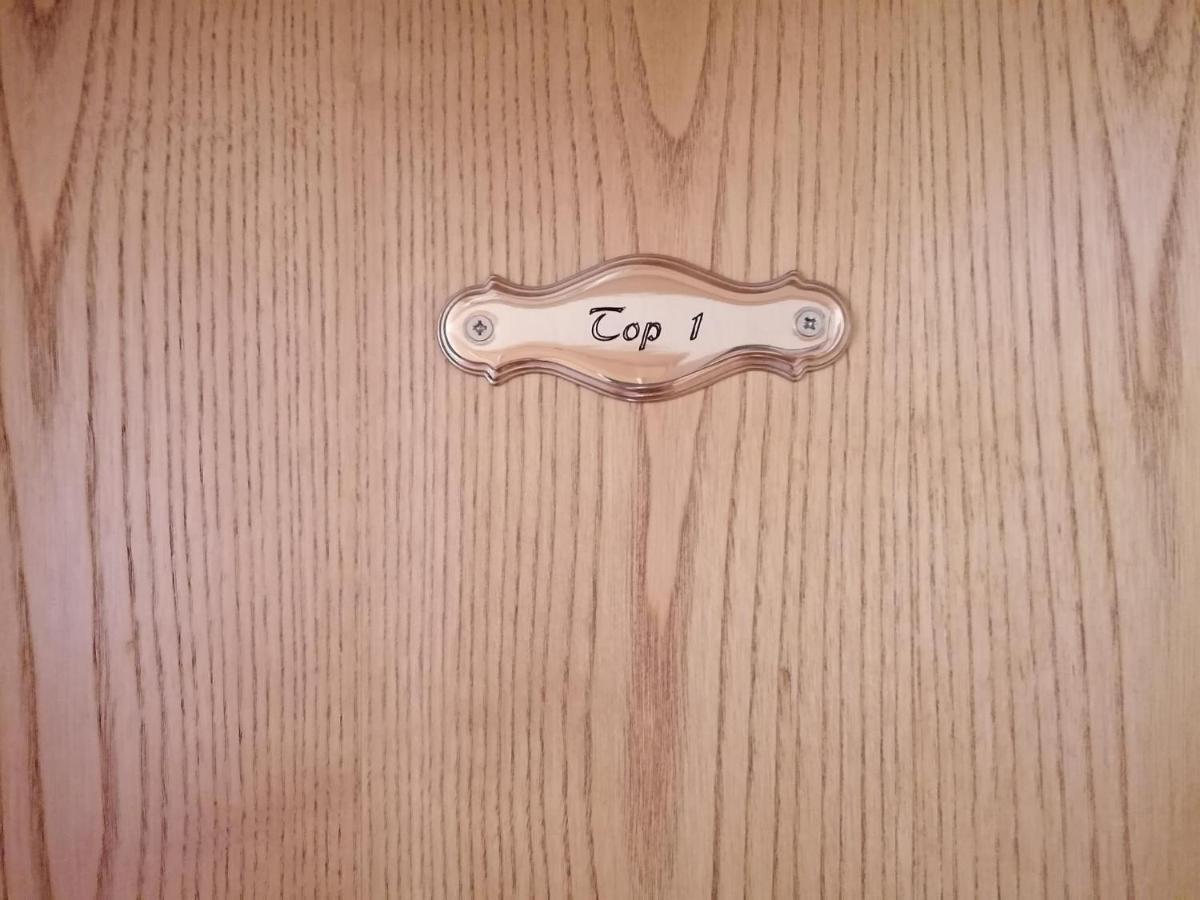 Ferienwohnung Wanger Aschau Im Zillertal エクステリア 写真